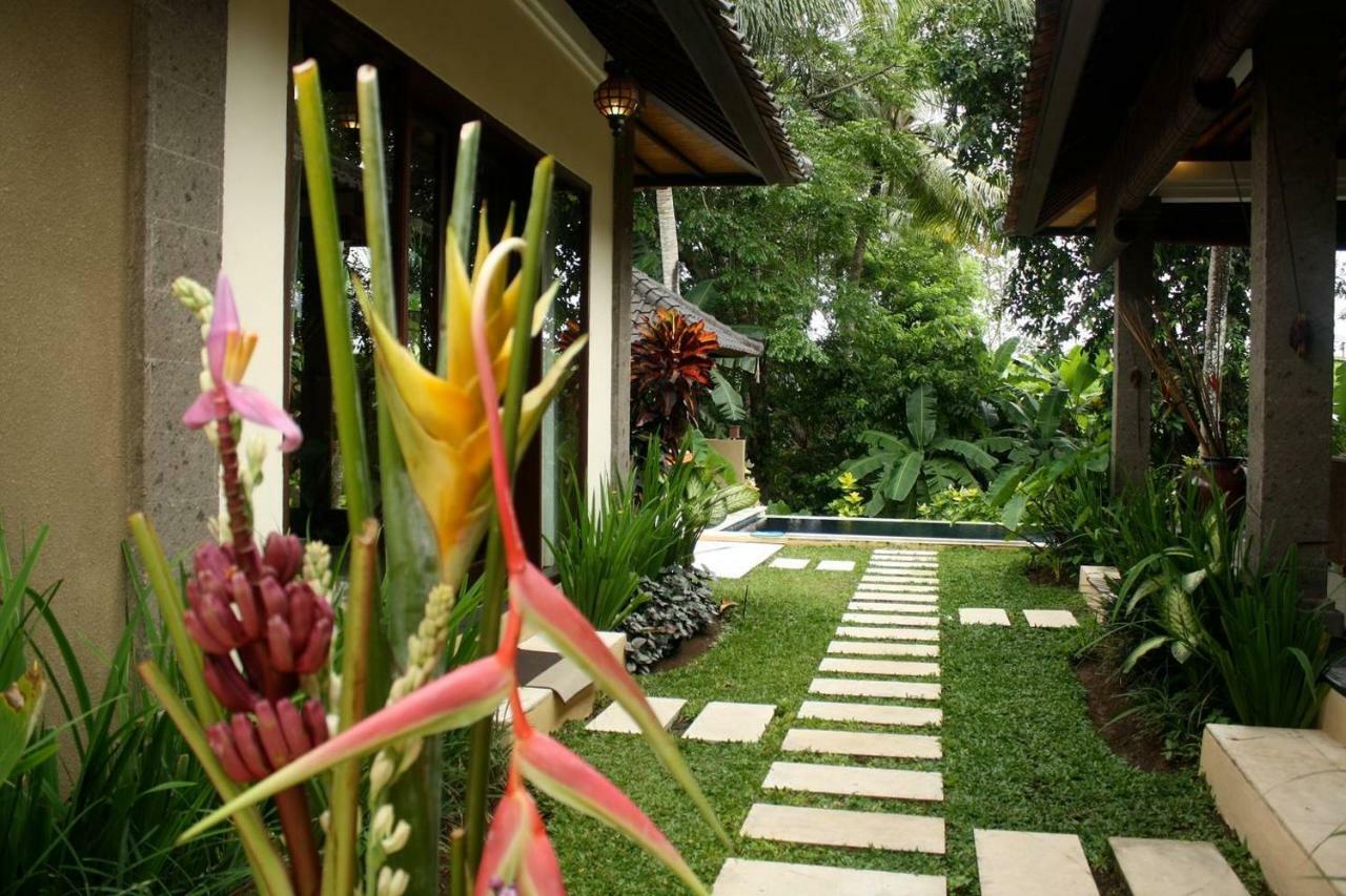 Villa Elysium Fields Canggu Exterior foto